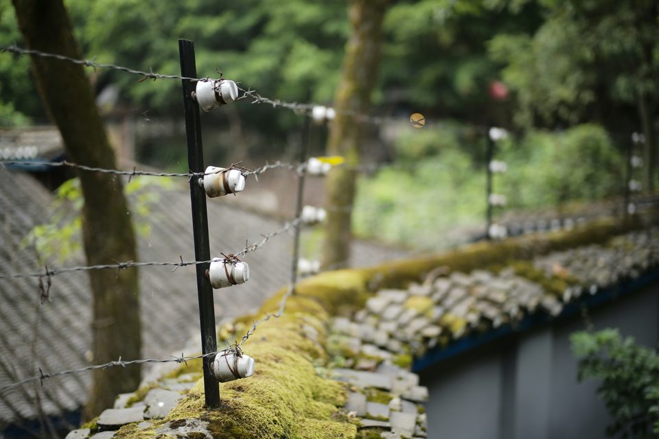 Cerco eléctrico con aisladores sobre la parte alta de un muro